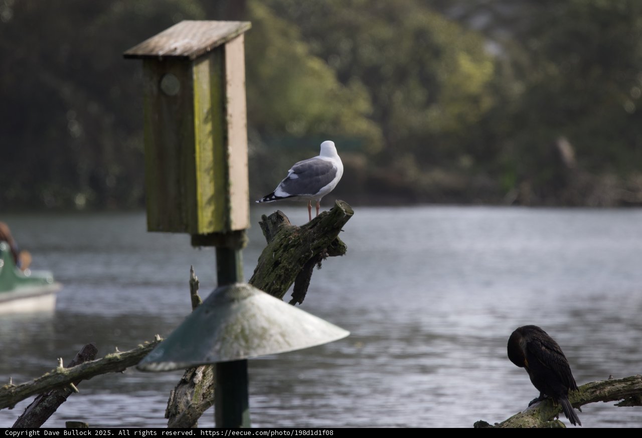 Riverside Rest