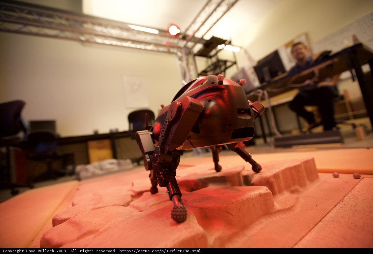 Robotic Company in Action