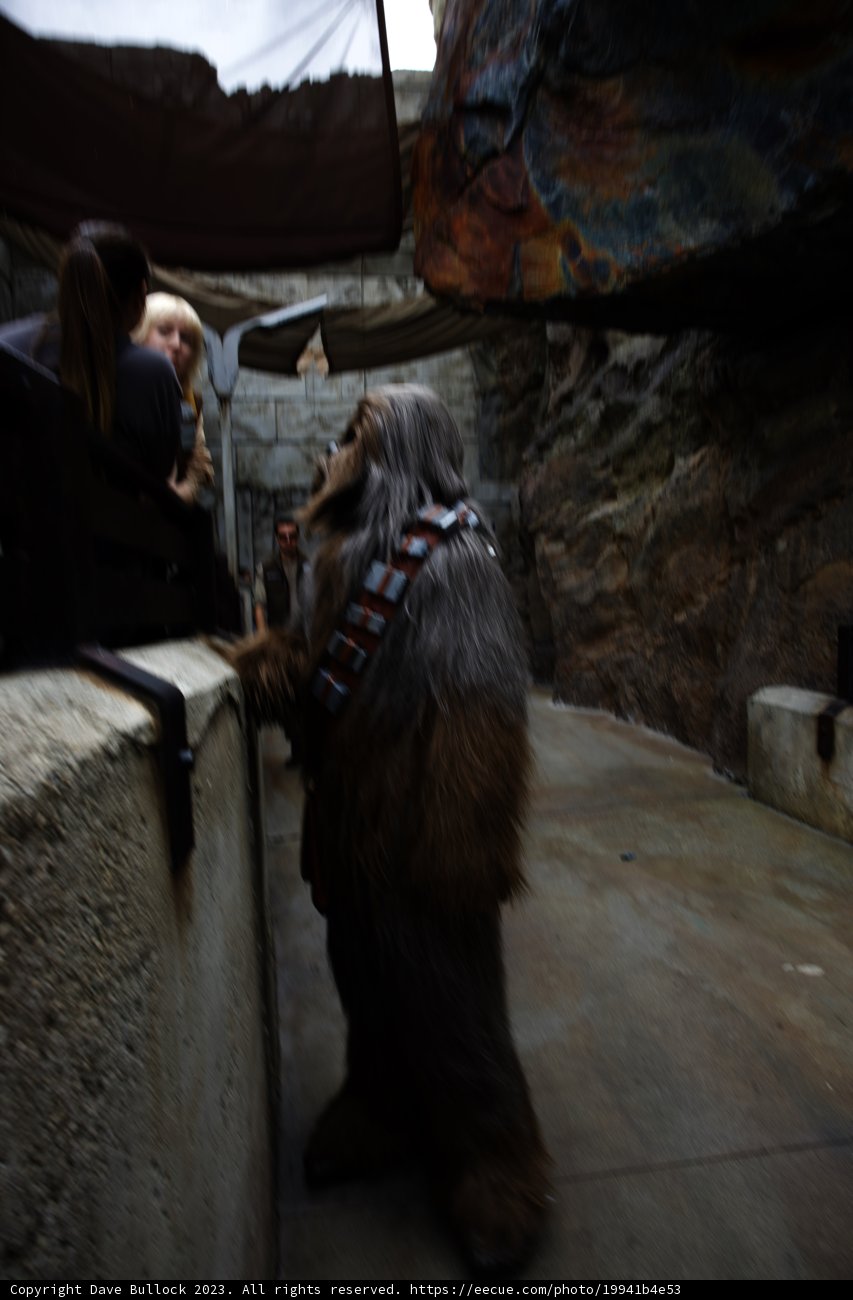A Breathtaking Encounter at Disneyland