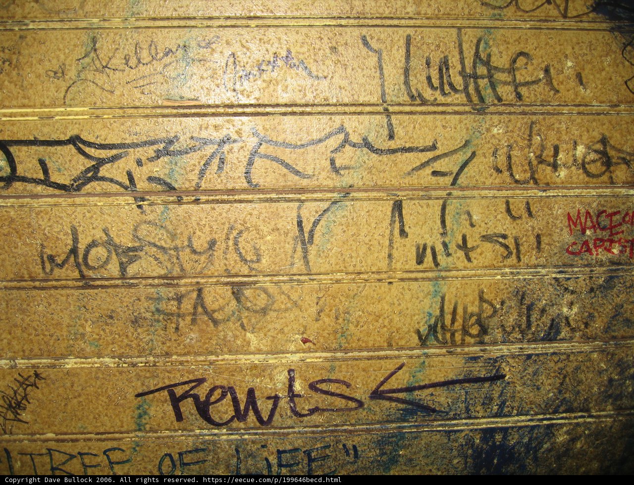 The Art of Graffiti