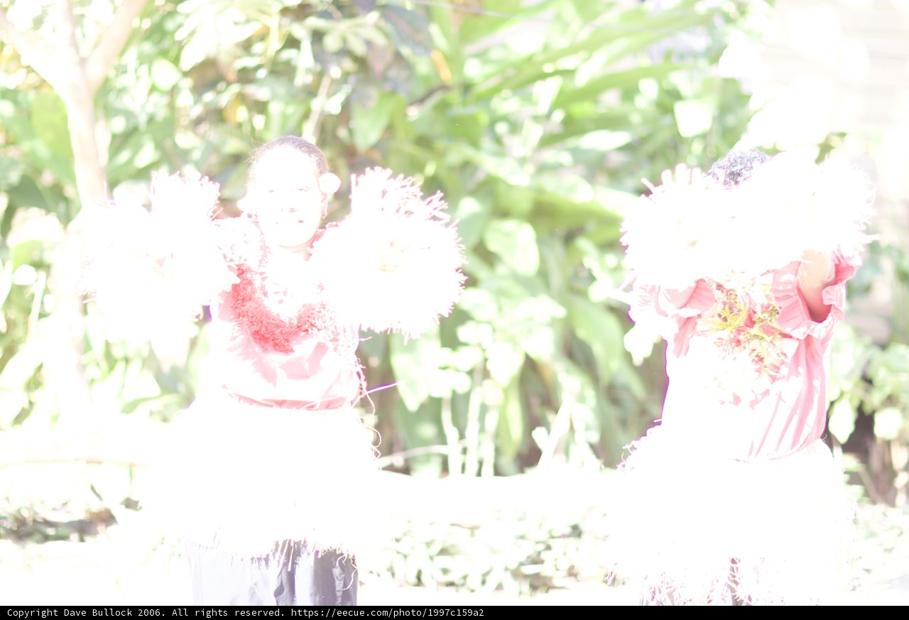 Dancing in Red and White