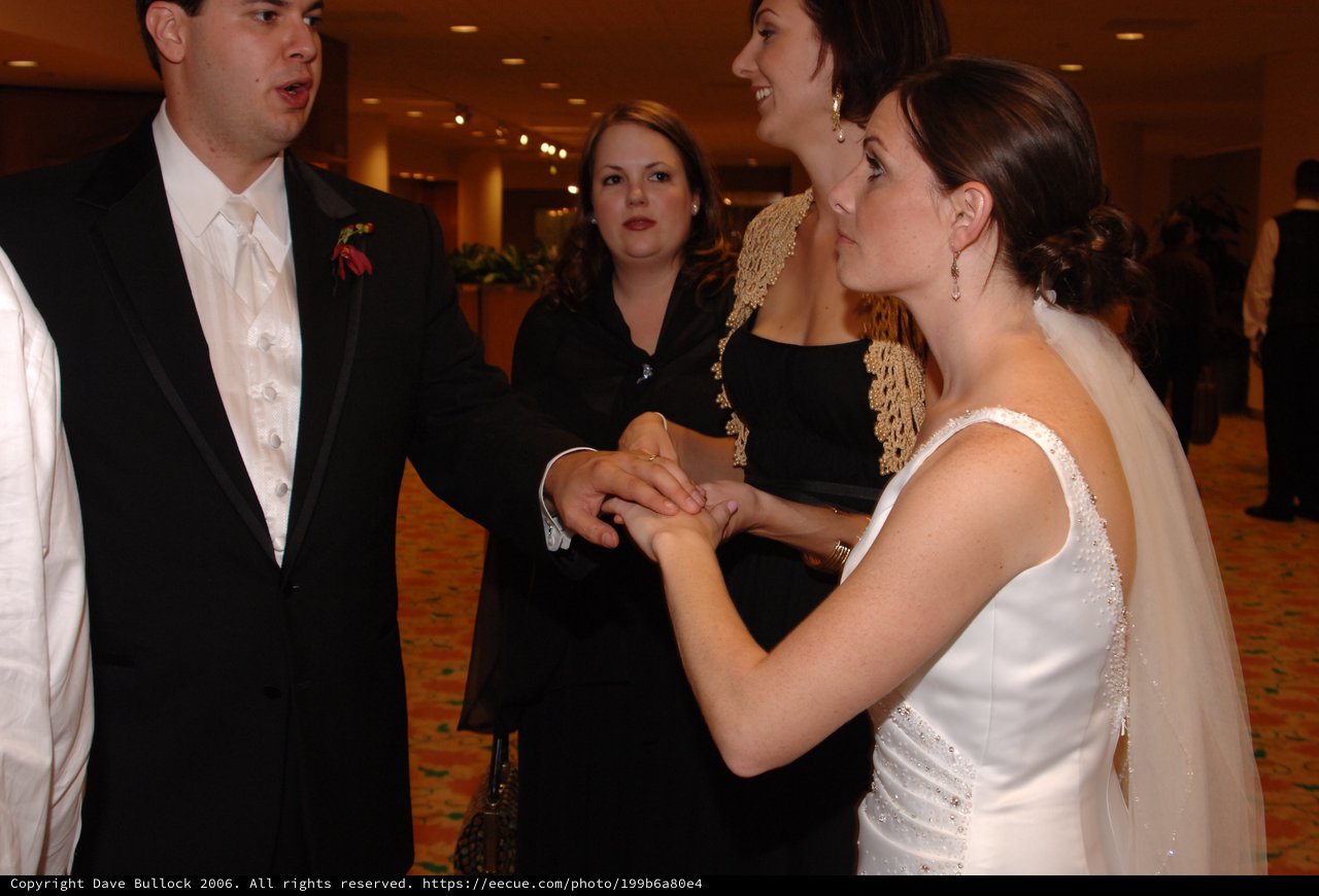 Bride and Groom Exchange Rings at Wedding Ceremony