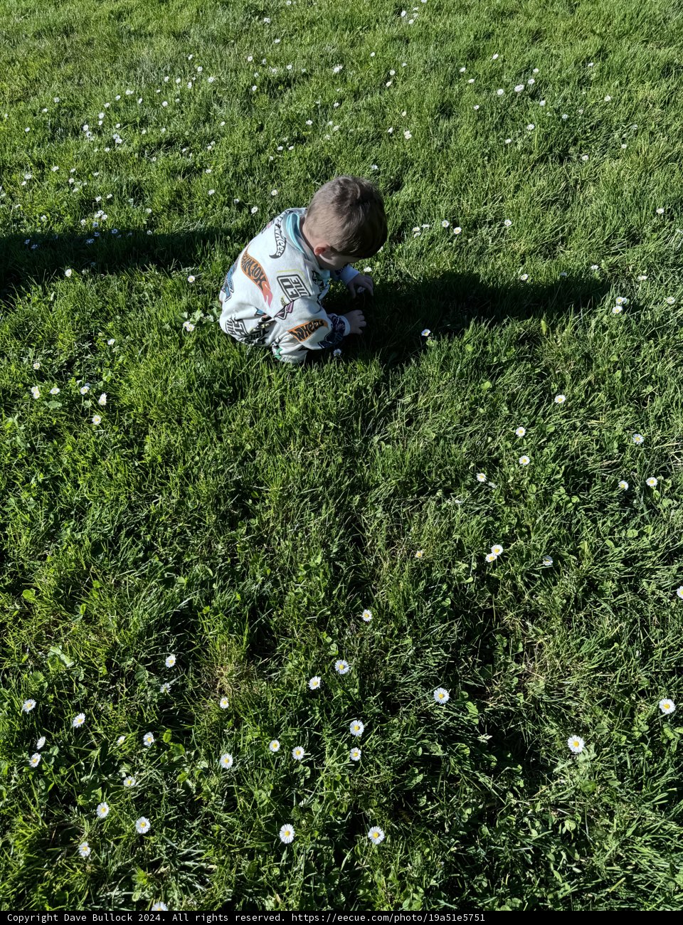 Innocence in the Fields