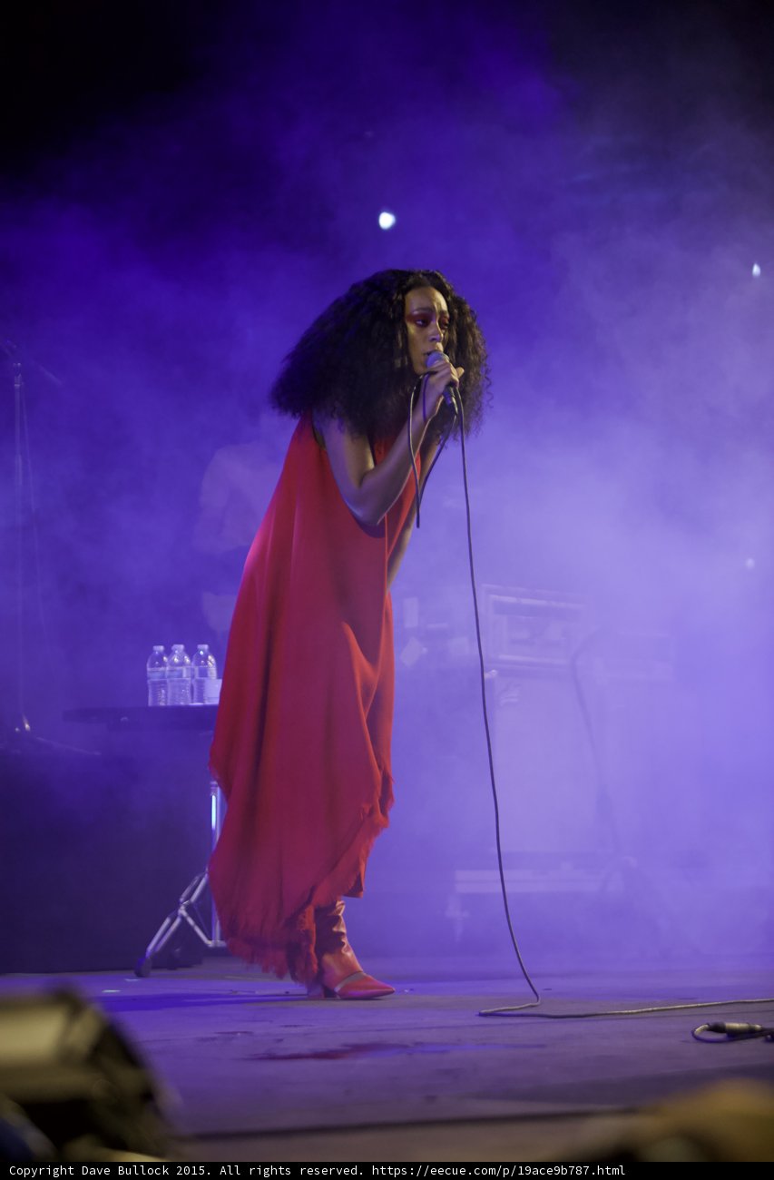 Solange Full Body Voluminous Hair Red Dress Purple Haze
