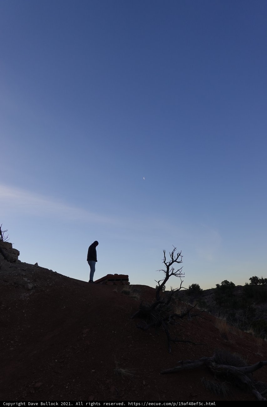 Stand Tall in the Blue Sky
