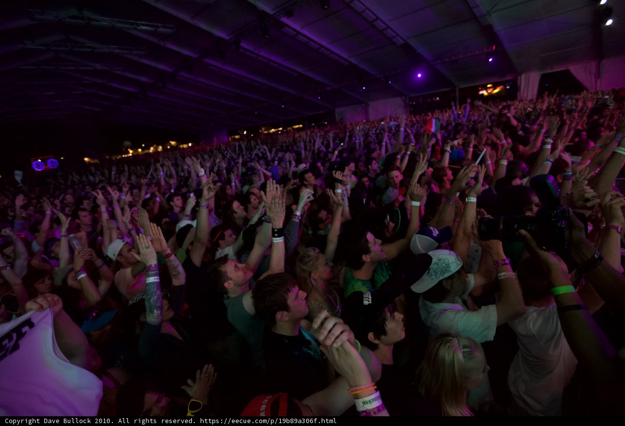 Coachella Concert Crowd Goes Wild