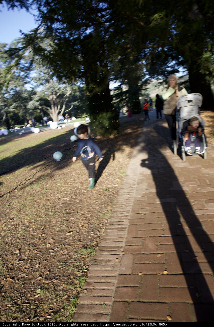 Stroll Through Thistlewyck