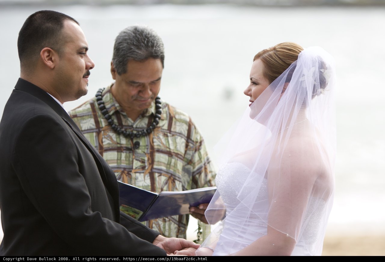 Sand and Vows: A Beach Wedding