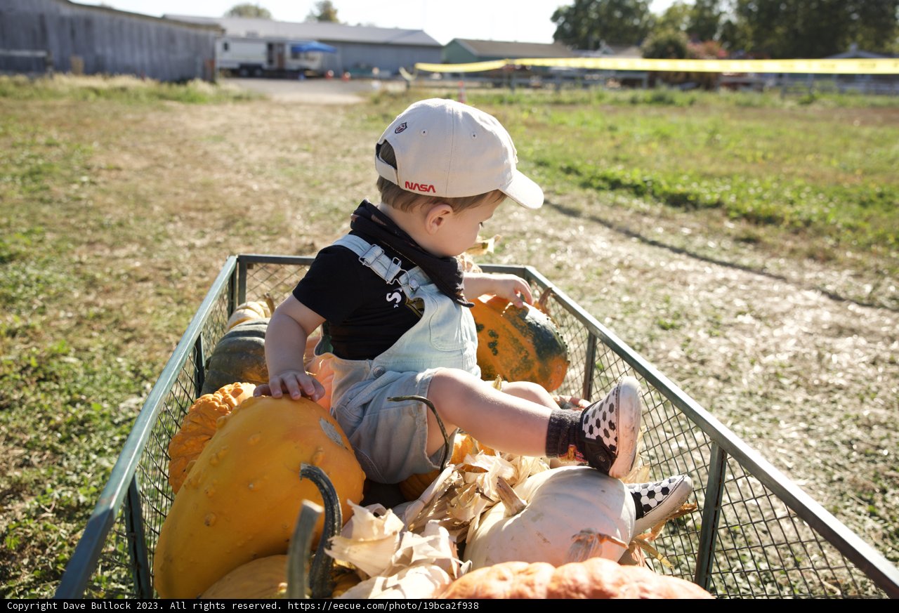 Pumpkin Wagon Adventure