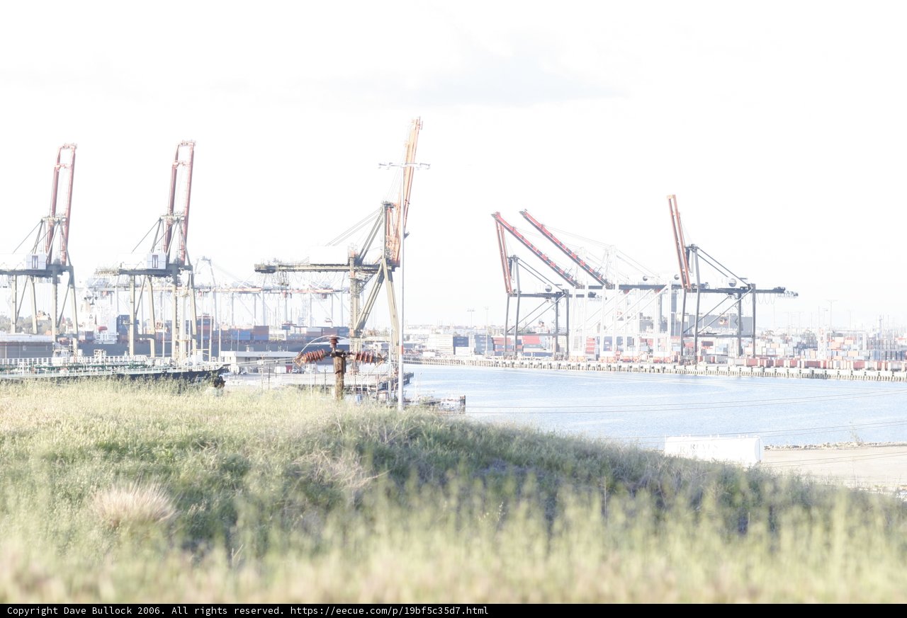 Construction Crane overlooking Waterfront Field