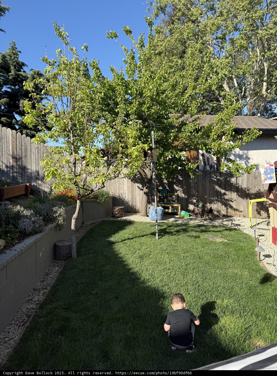 Springtime Exploration