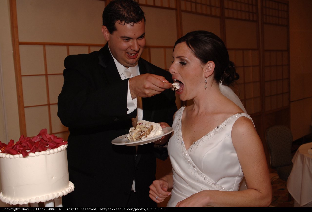 Bride and Groom Share First Slice of Wedding Cake