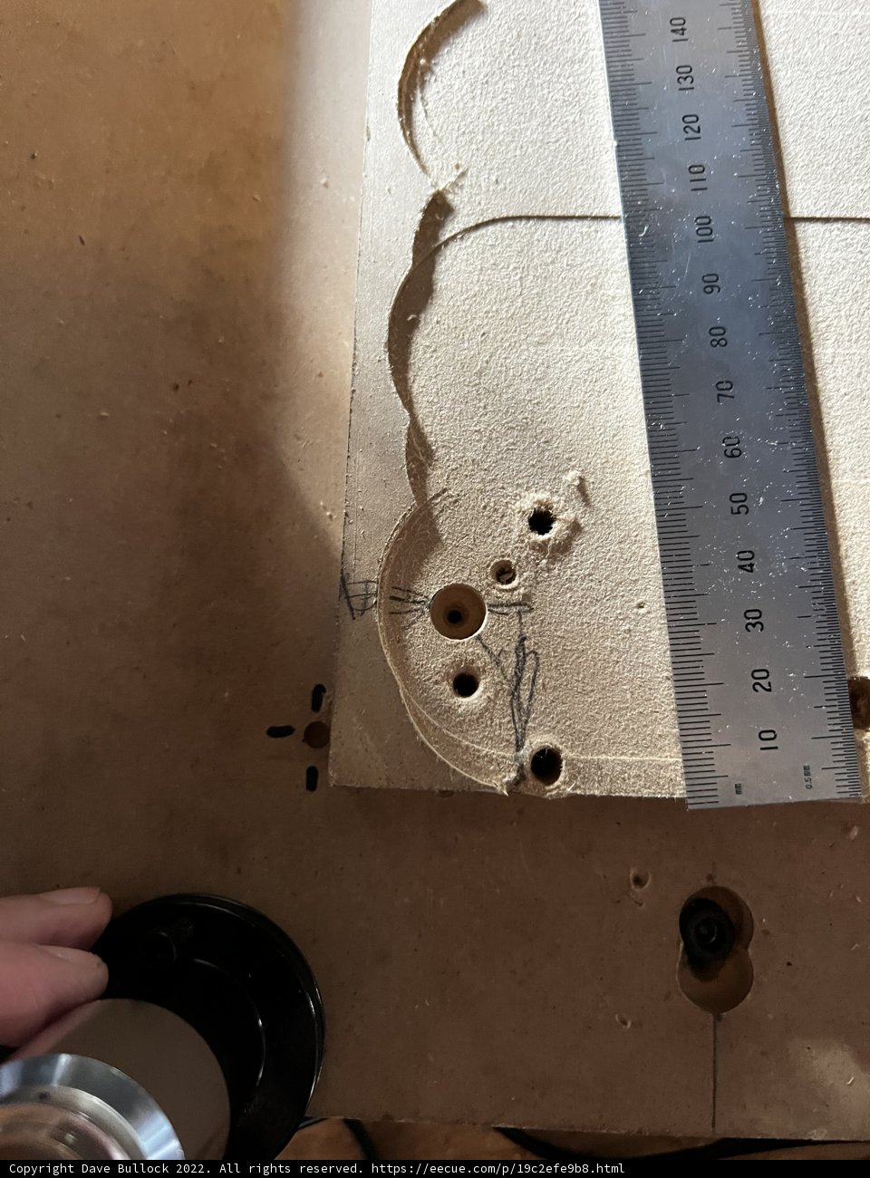 Assessing Termite Damage