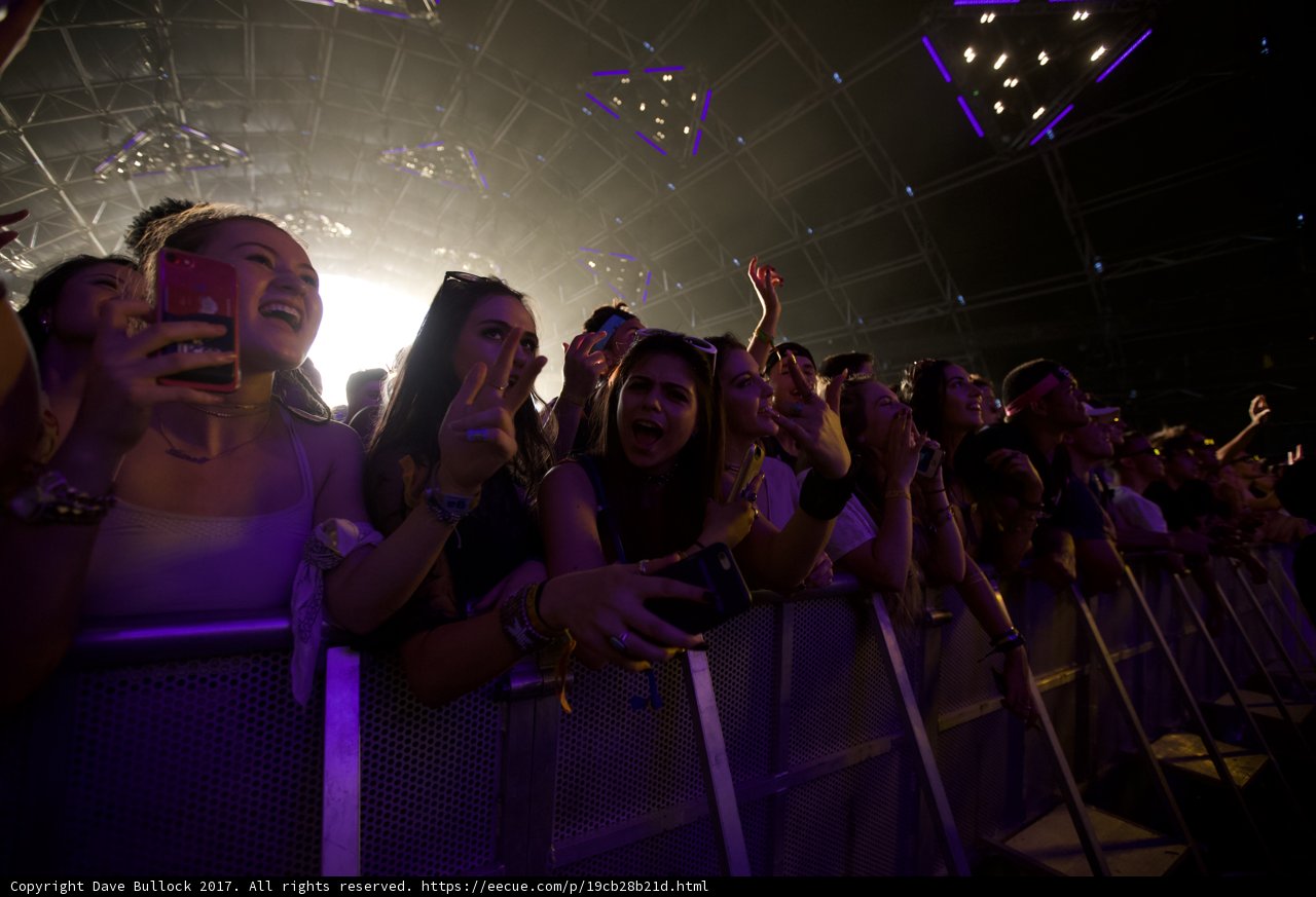 Urbanites Lose Themselves in Coachella's Electric Atmosphere