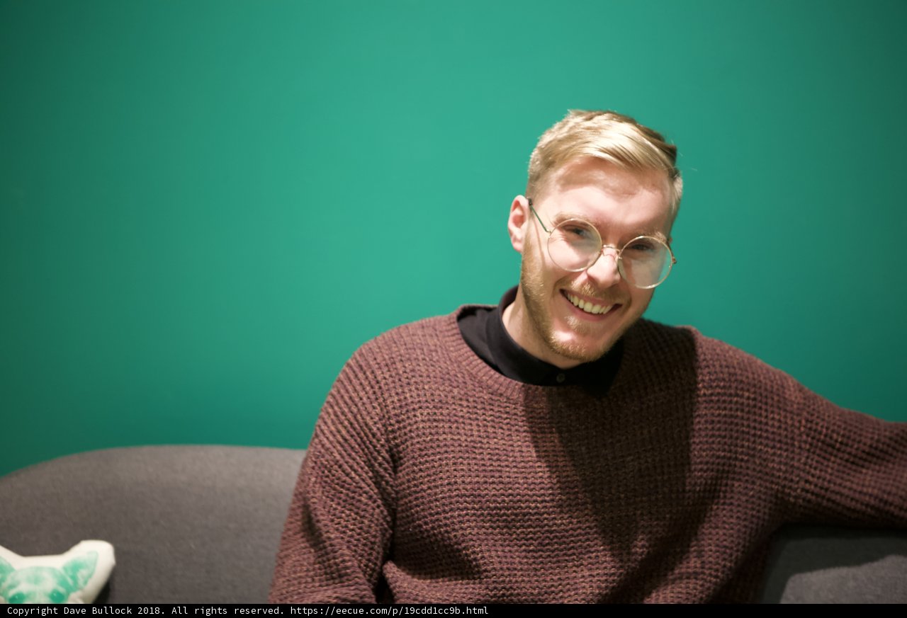 Portrait of a Happy Man on the Couch