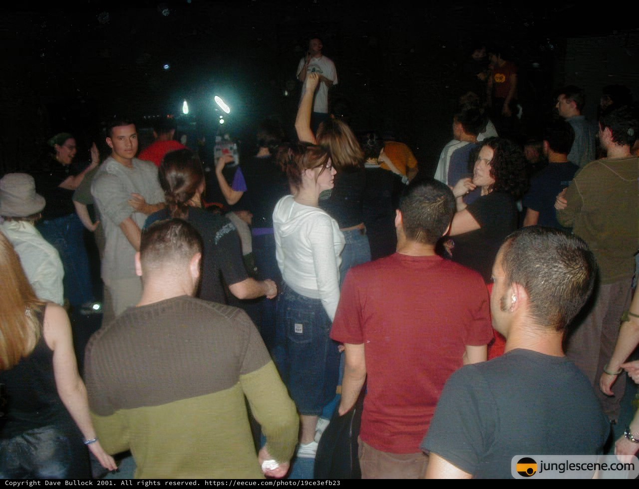 Nightclub Crowd Fun