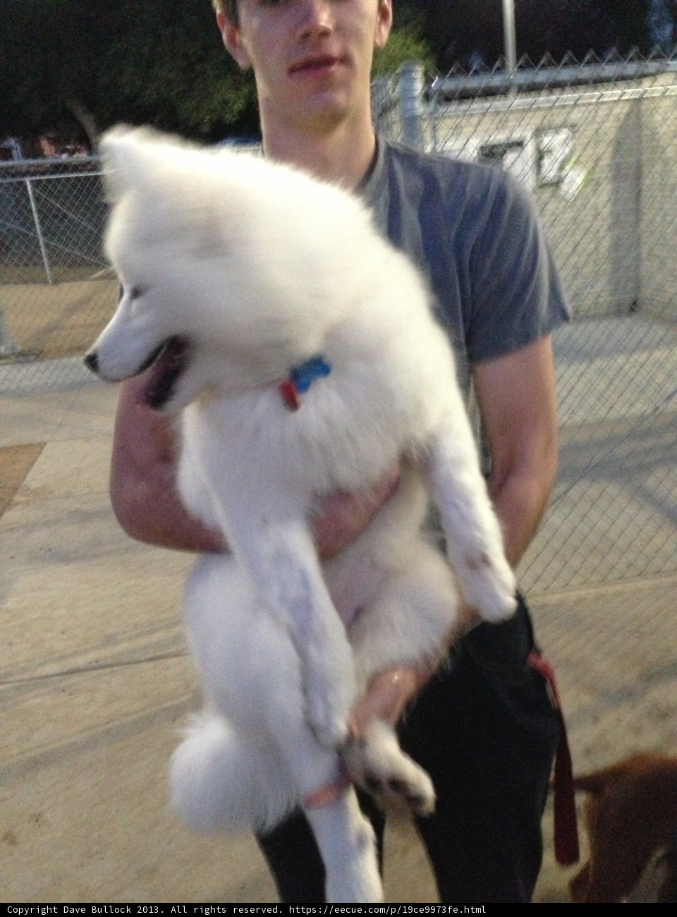Gentle Giant