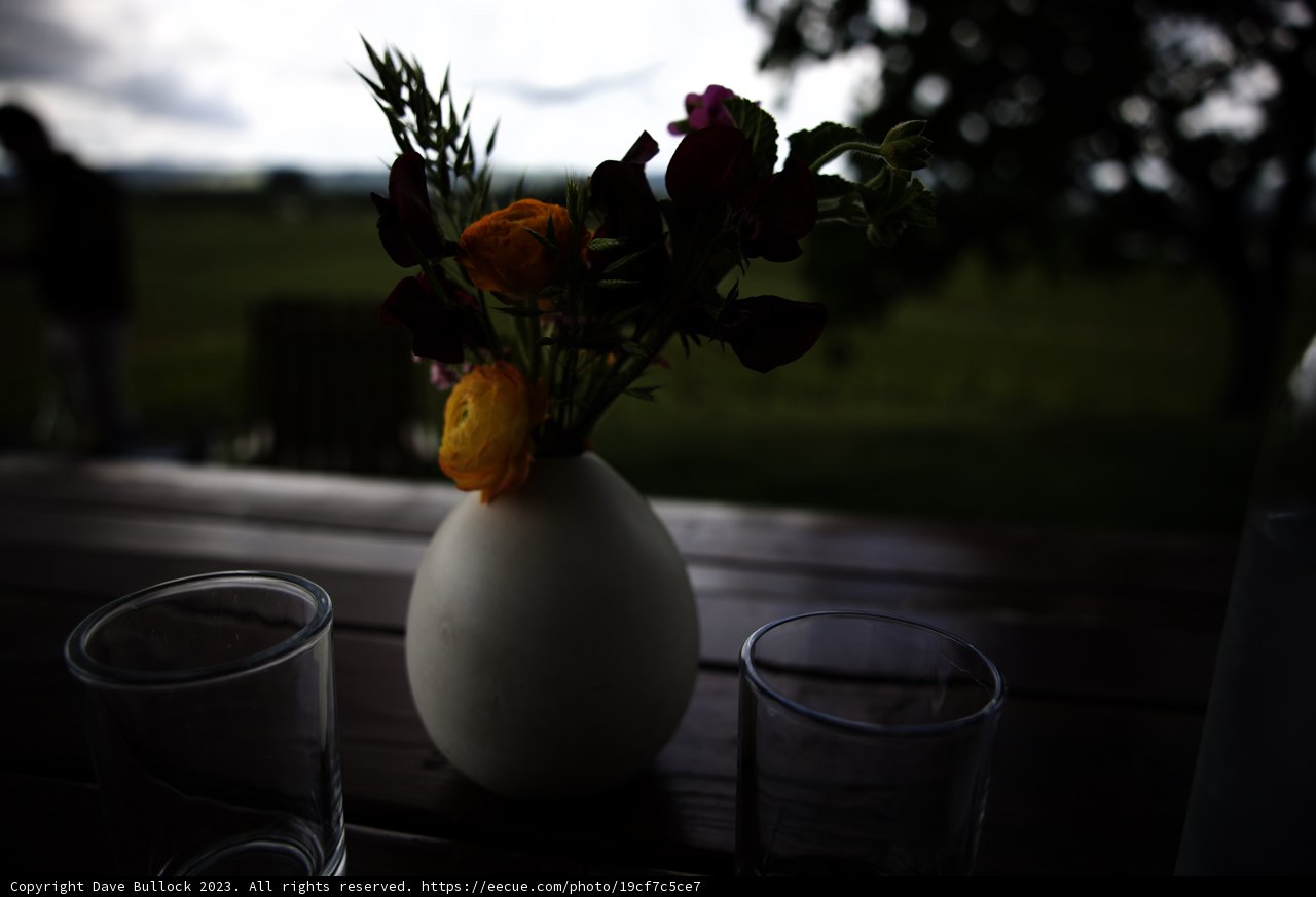 Blooming Memories in Napa Valley