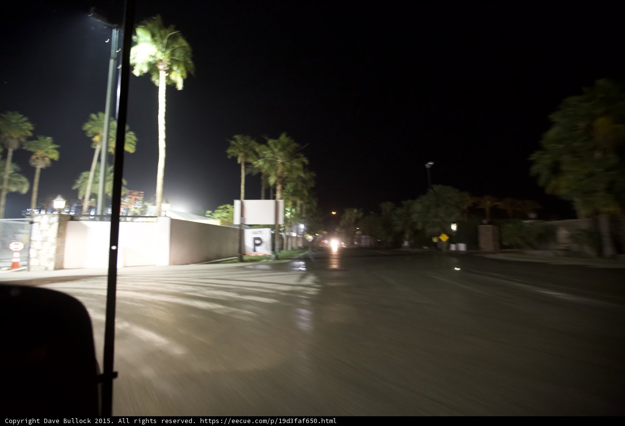 Nighttime Oasis