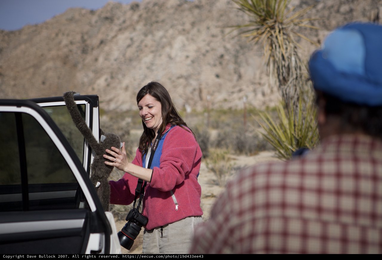 Woman Encounters Wild Animal in Desert Landscape