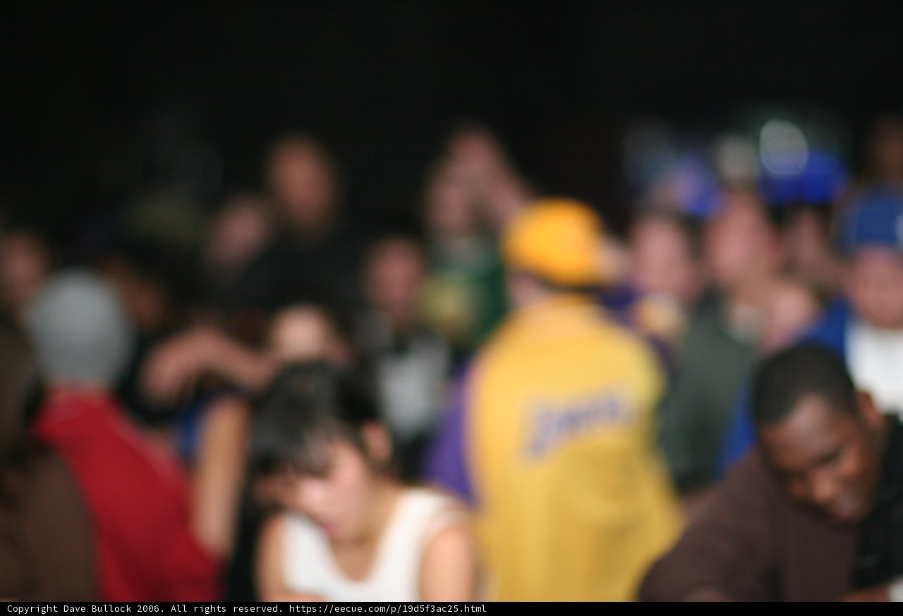 Blurred Crowd at the Night Club