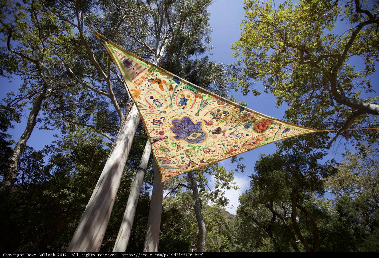 Colorful Kite Flying High in the Tree Tops