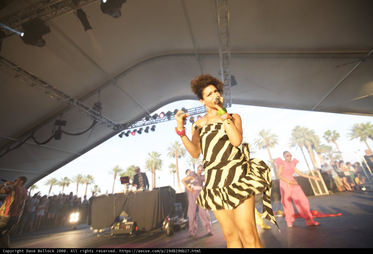 Zebra Queen Takes the Stage
