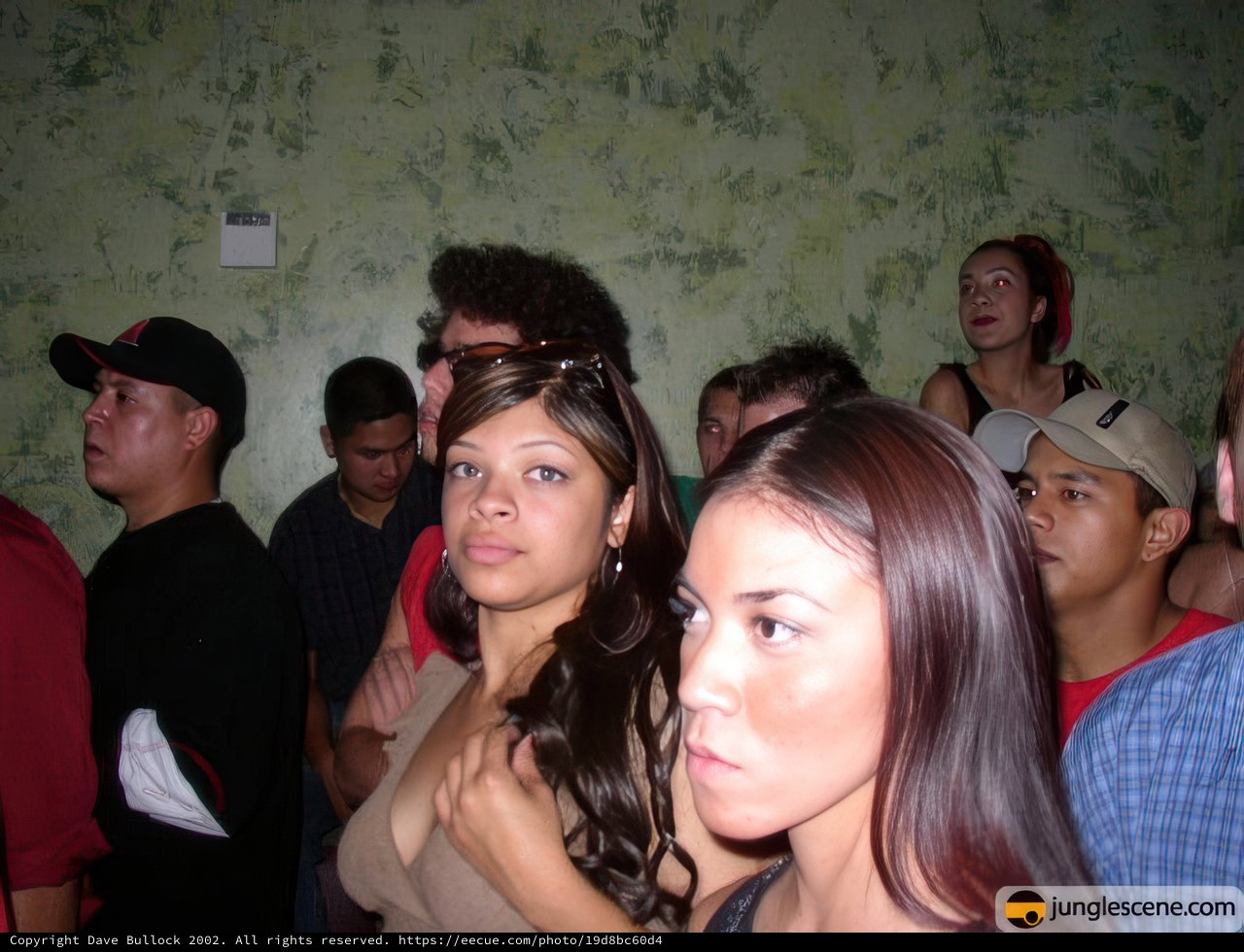 Night Club Crowd