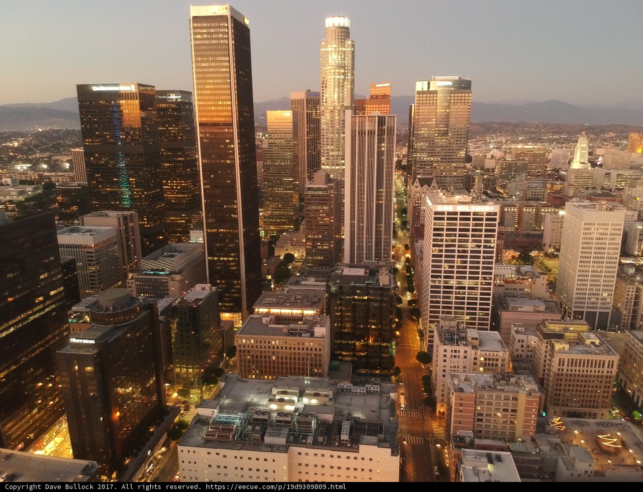 The Urban Jungle of Los Angeles