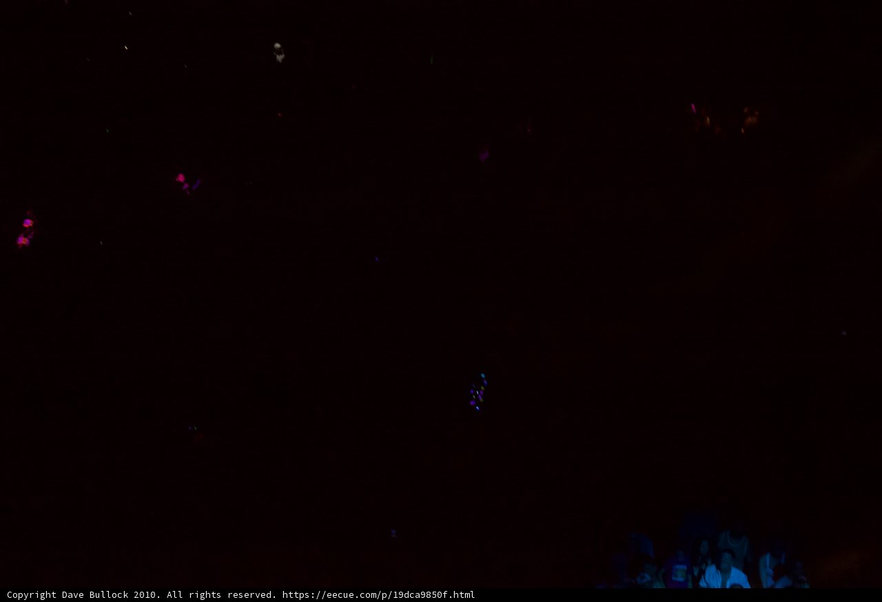 Live Camera Captures Night Sky at Disney's Animal Kingdom