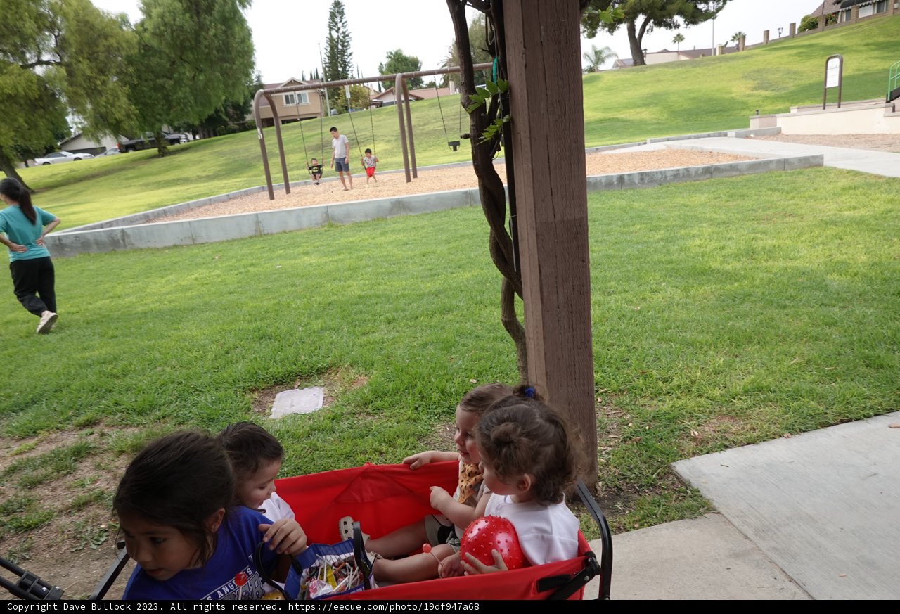Summer Fun in the Park - A Band of Mini Explorers