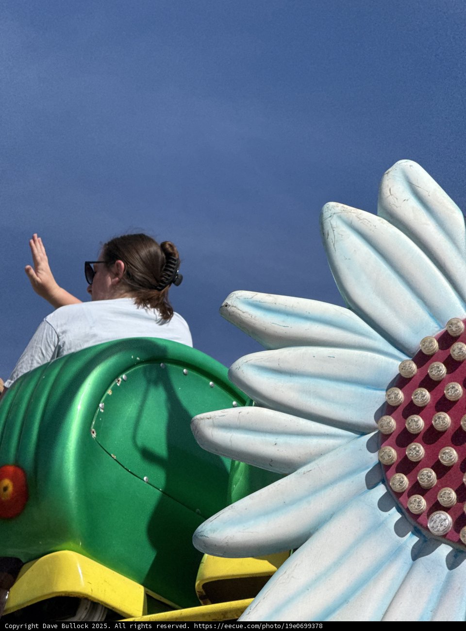 Summer Rides and Daisy Dreams