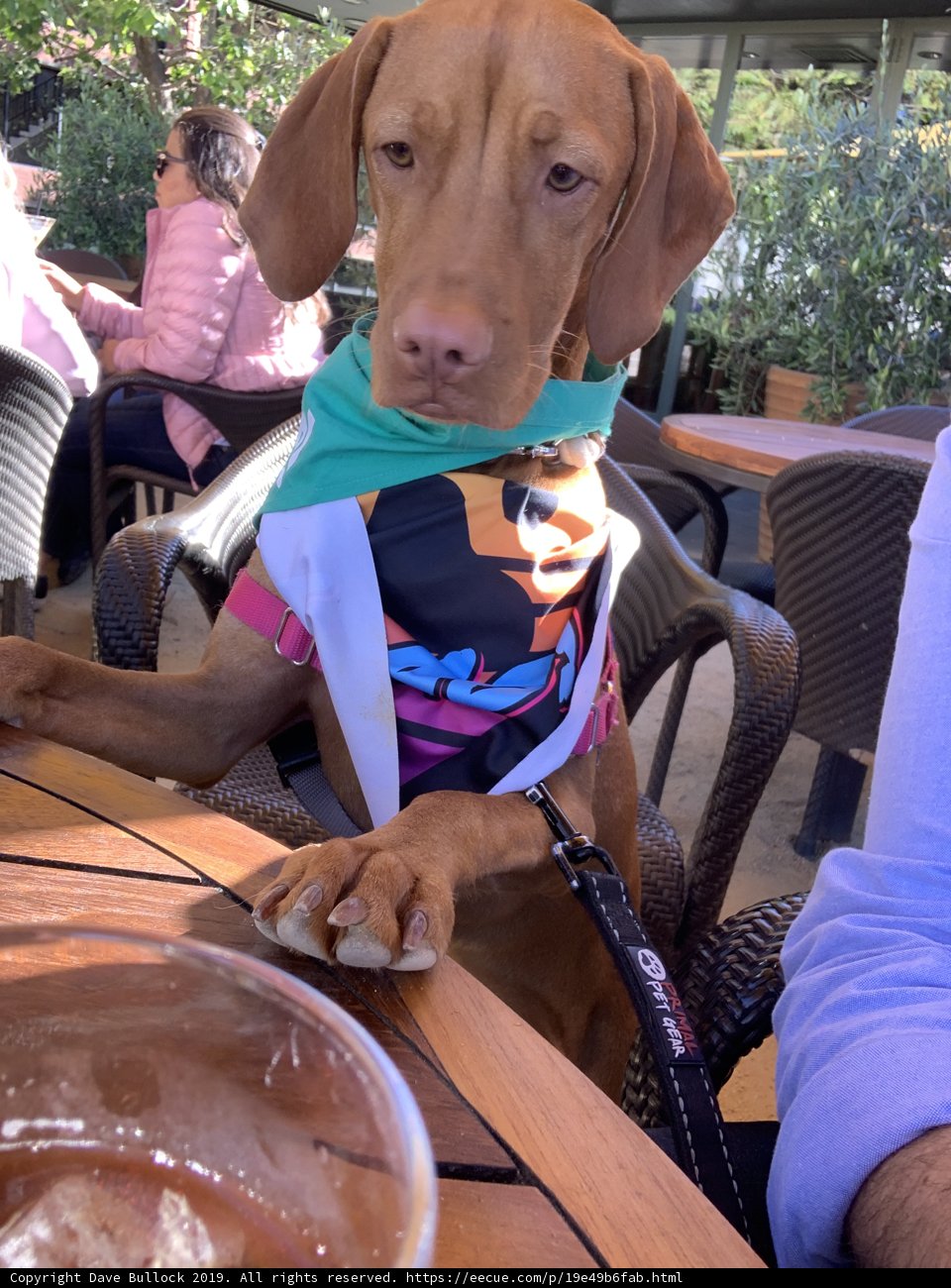 Table Manners
