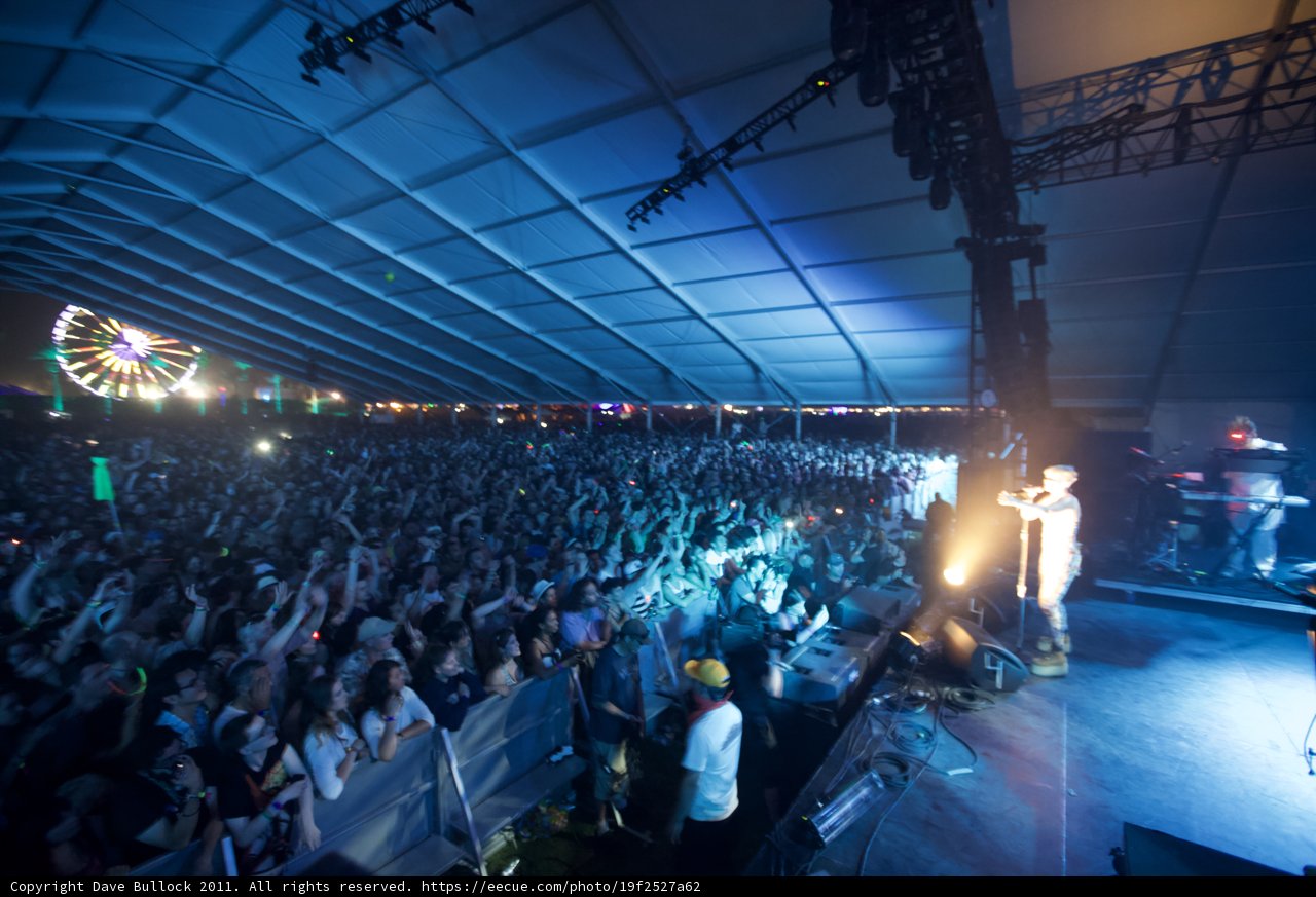 The Electric Crowd at Coachella