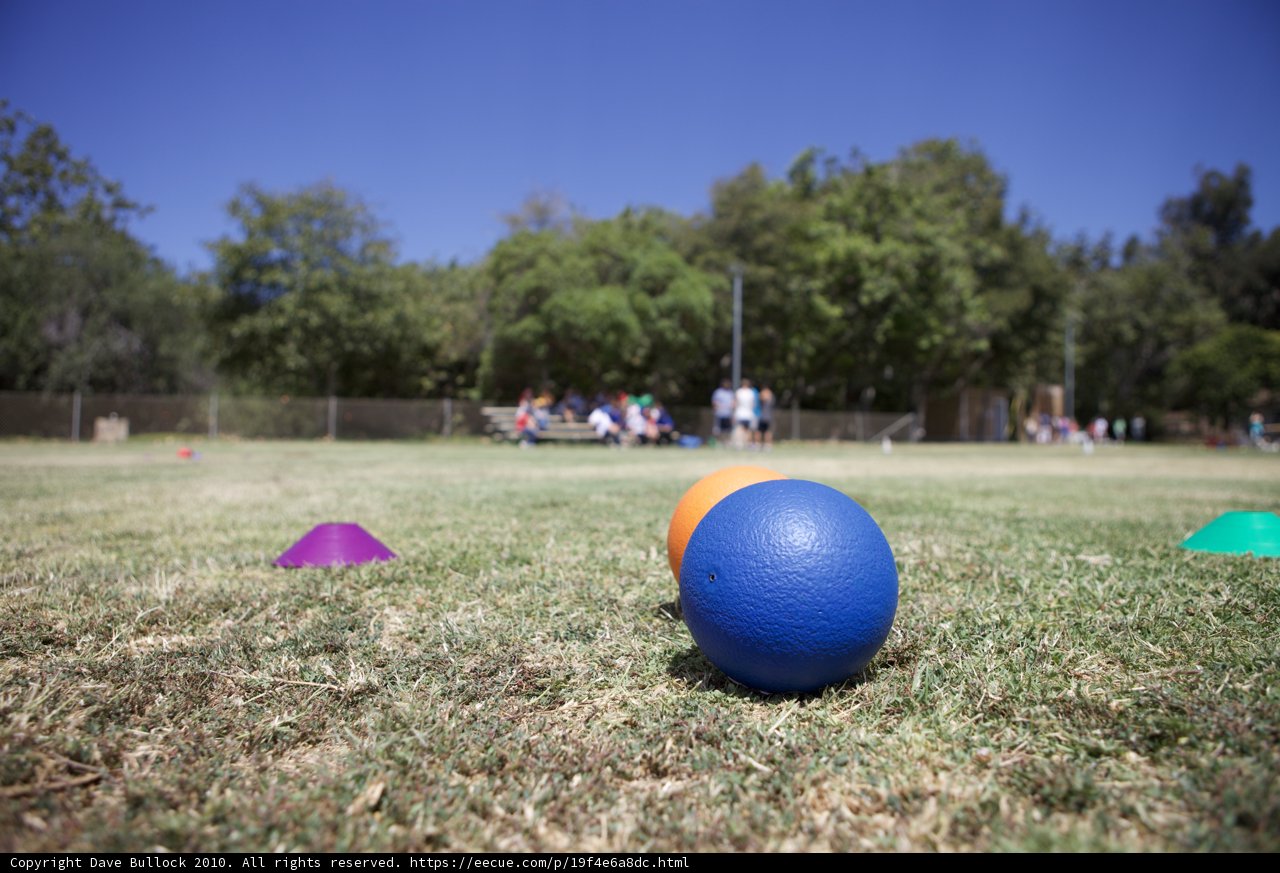 Blue Ball Among the Grass