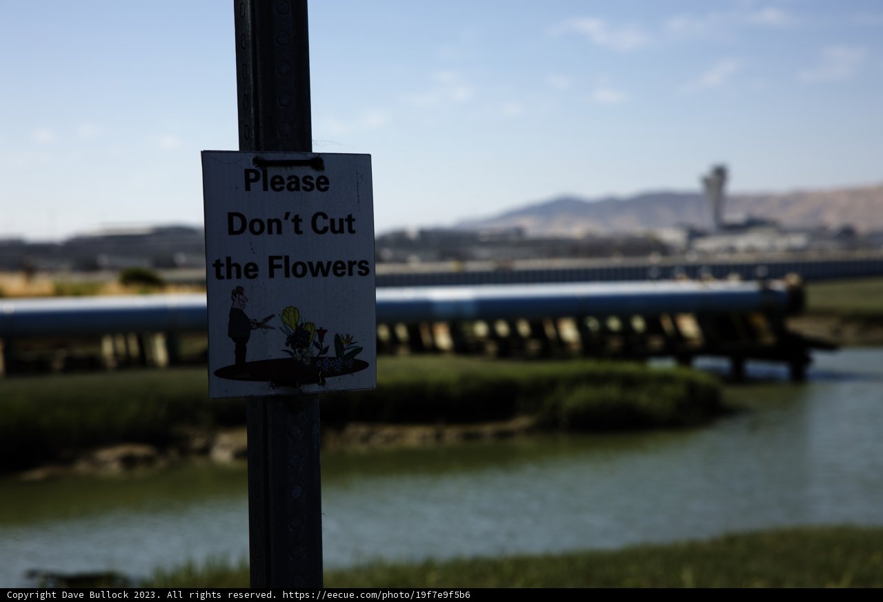 Respecting Nature at Bayfront Park