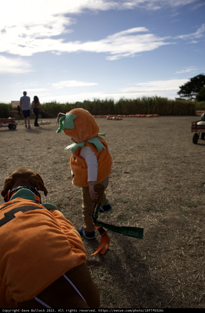 Young Cowboy Adventure at the Halfmoon Bay Pumpkin Patch, 2023