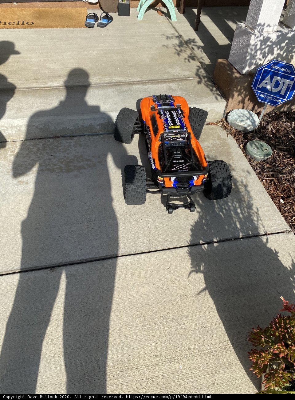 Racing Through the Grass
