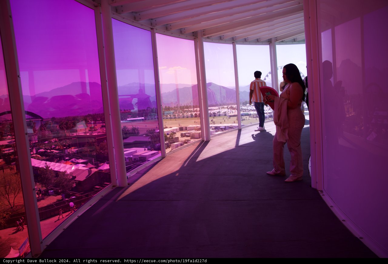 Purple Hues and Festival Views