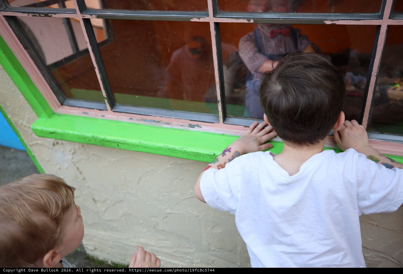 Children Peering Through Window at Fantasyland