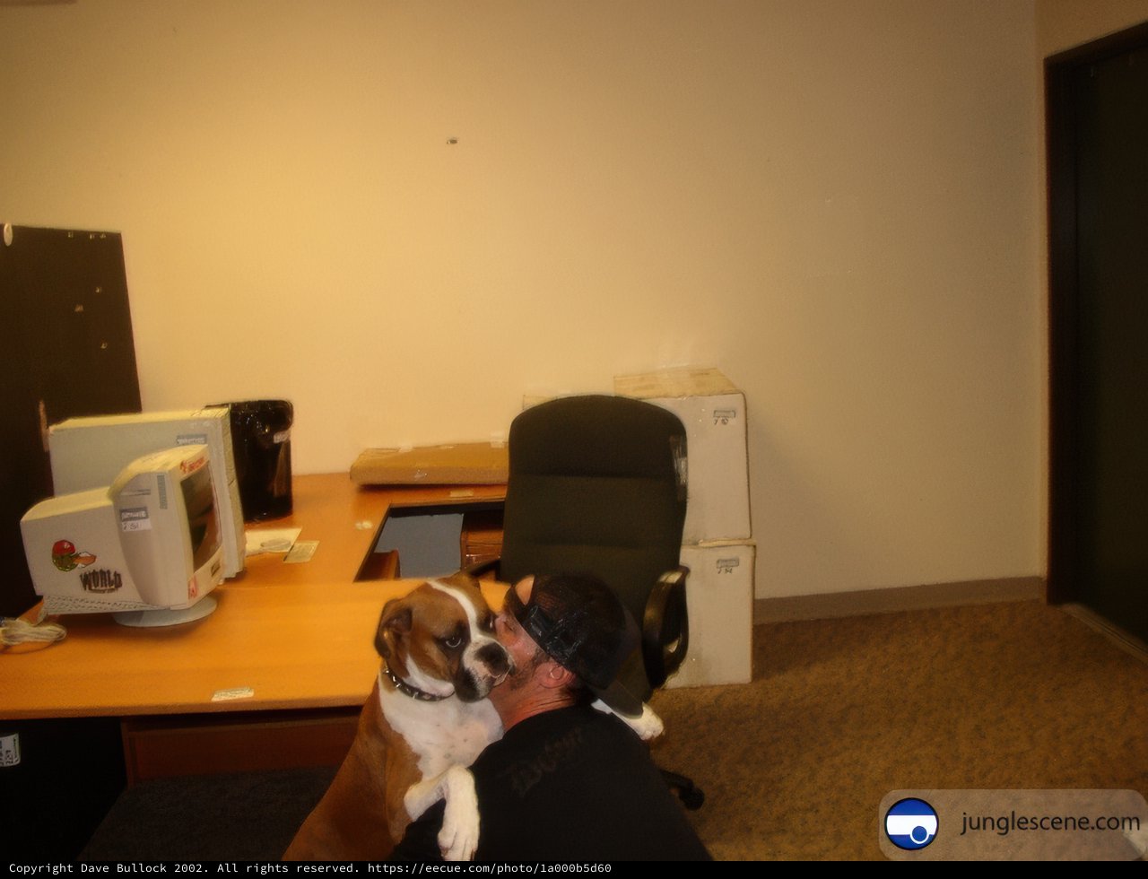 Working with My Best Friend