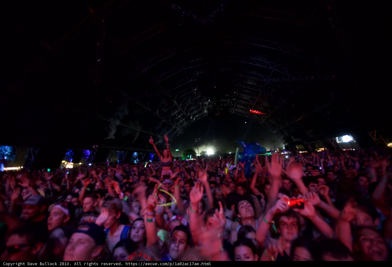 The Ultimate Coachella Crowd