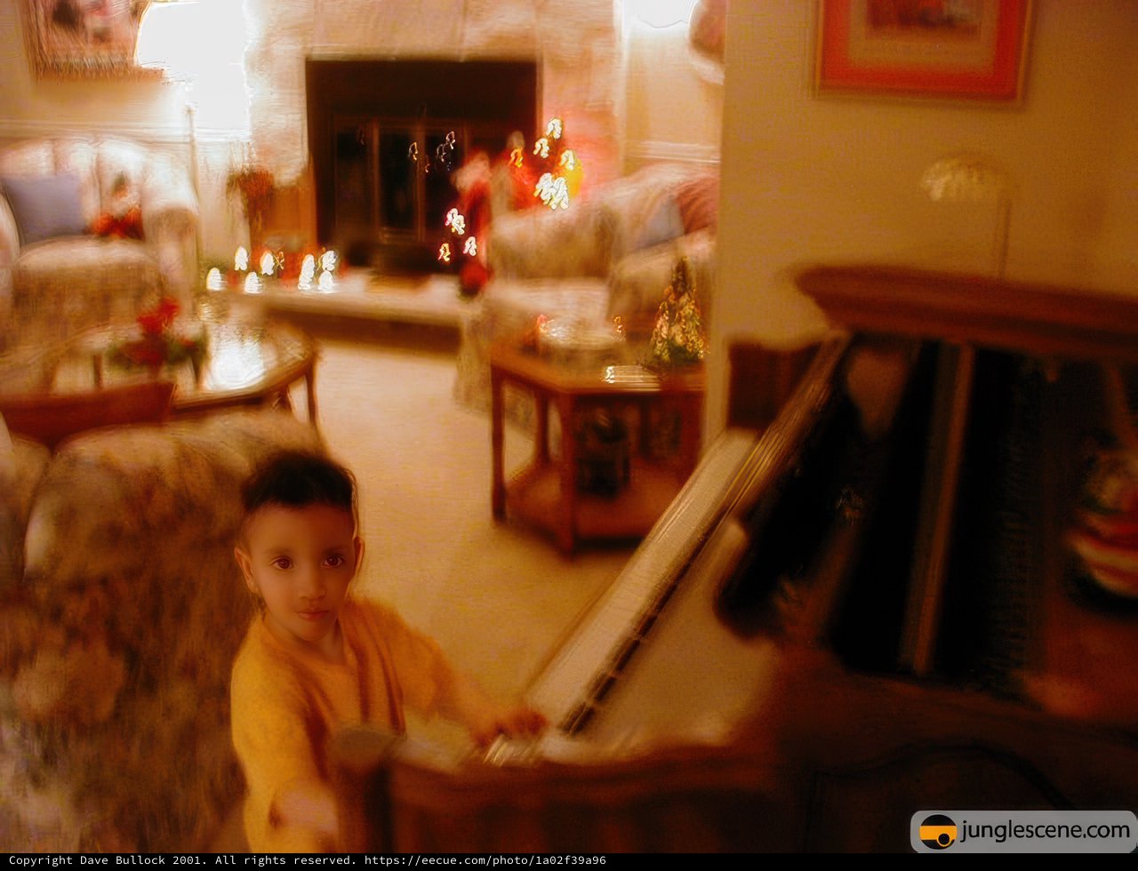 Living Room Serenade