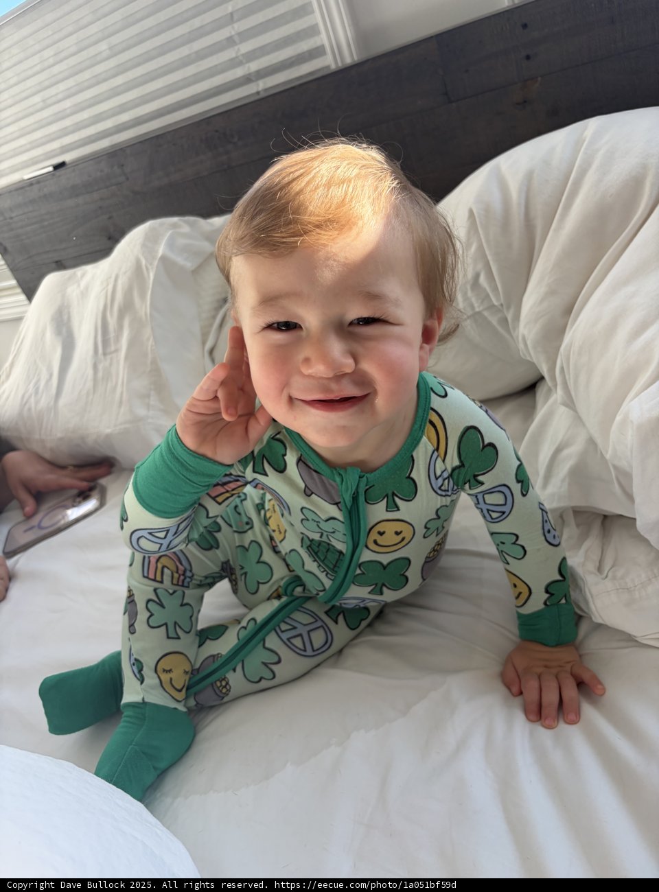 Morning Sunshine