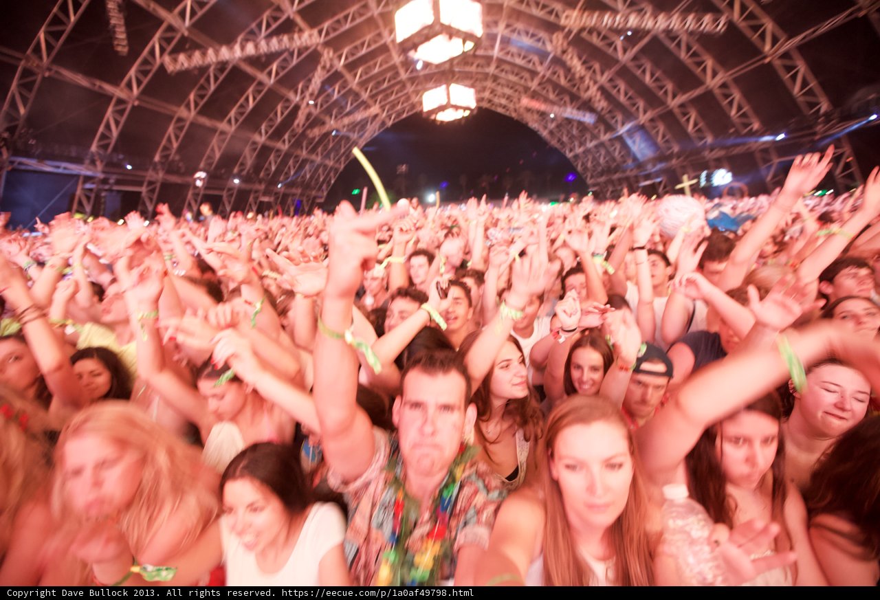 Coachella Concertgoers Raise Their Hands in Excitement