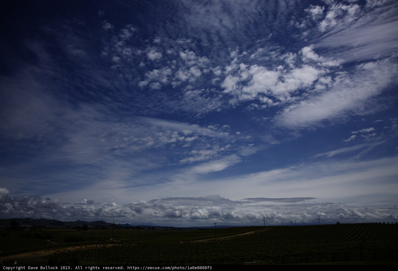 A Serene Napa Landscape