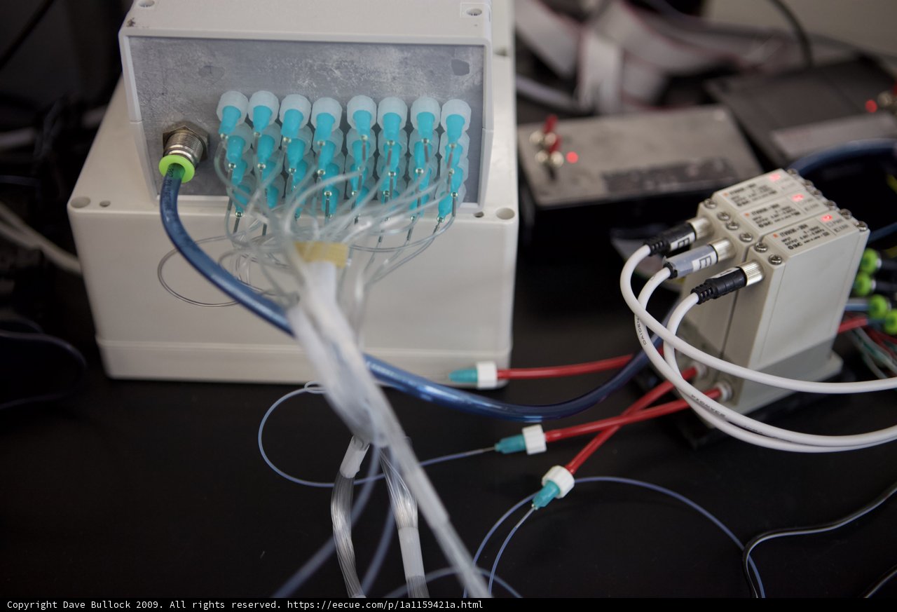 Micro Bio Chip Wiring