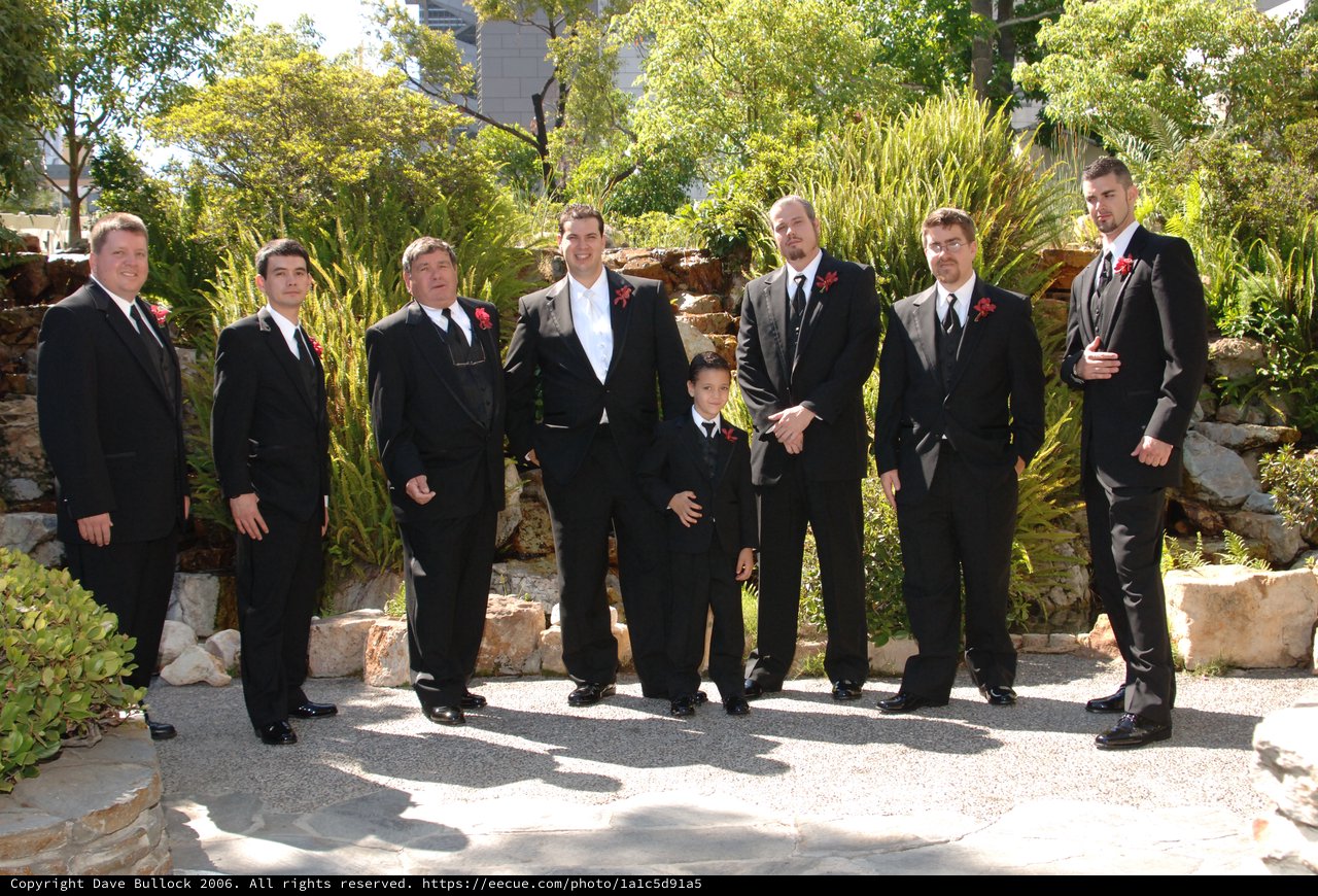 Groomsmen and Ring Bearer Pose at Summer Wedding