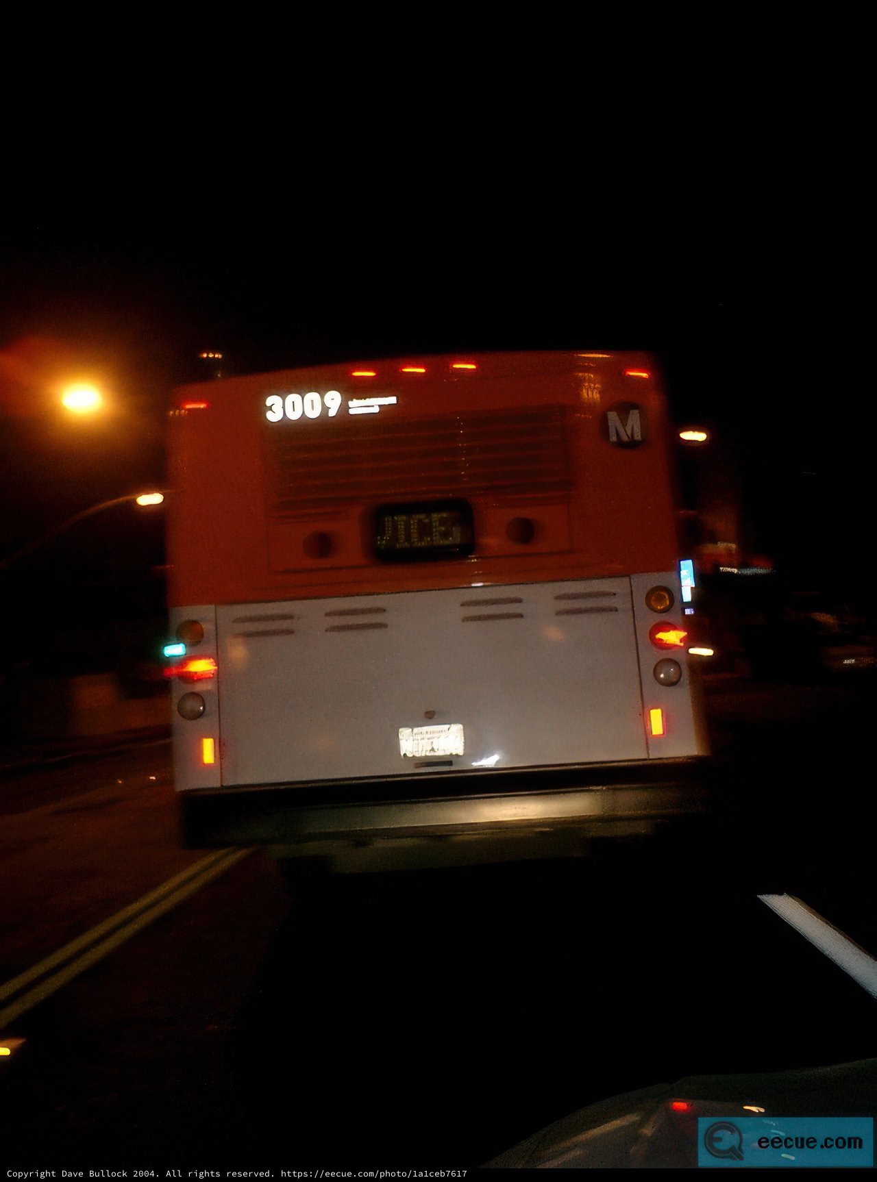 Nighttime Bus Tour