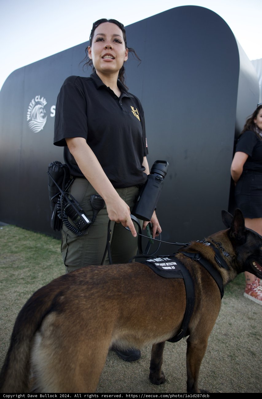 Partners on Patrol: Coachella 2024
